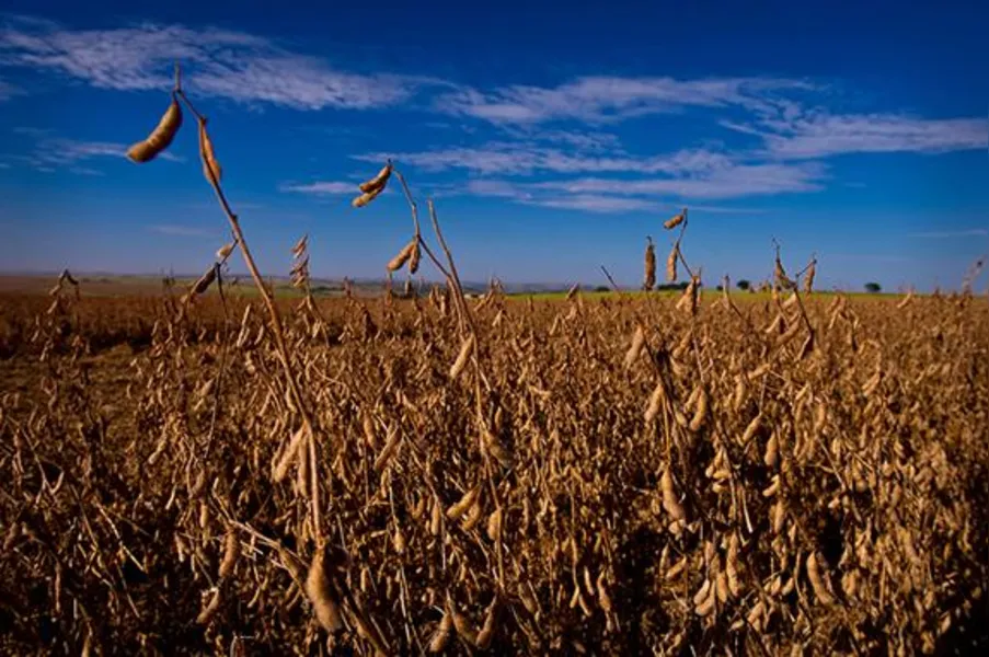 Imagens do Campo
