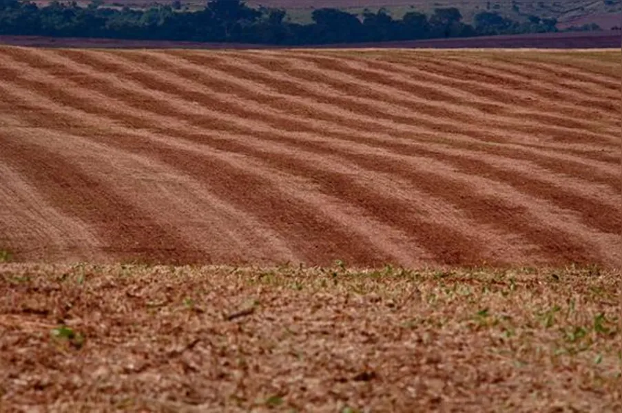 Imagens do Campo
