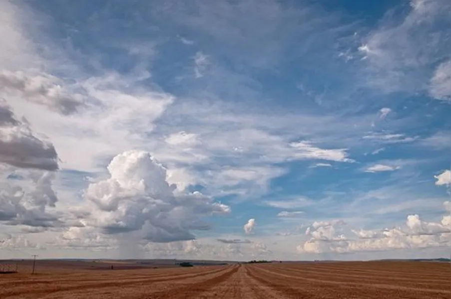 Imagens do Campo