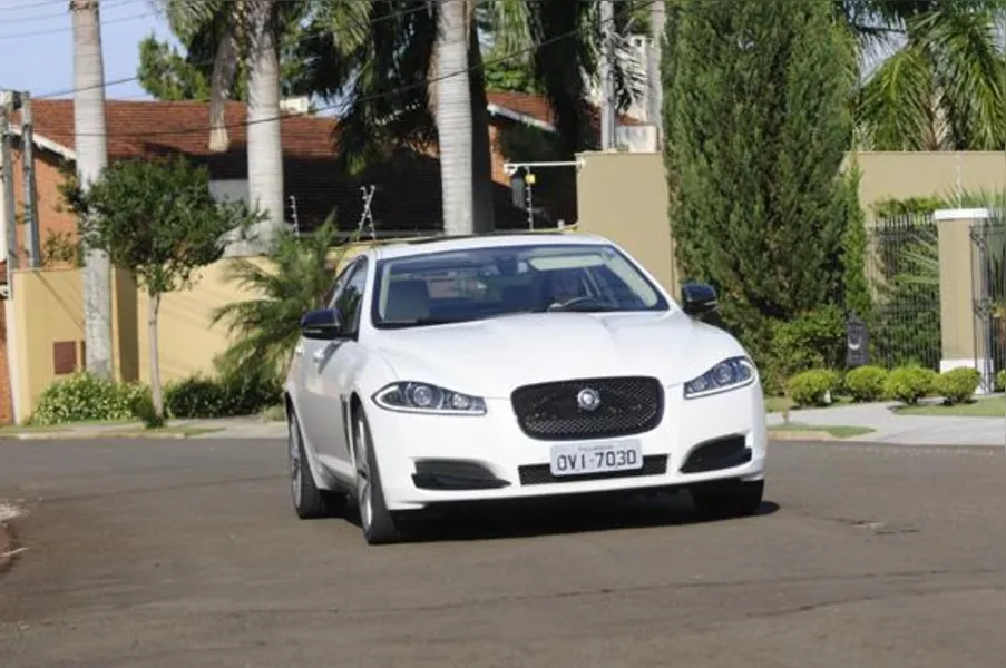 O fantástico mundo de Jaguar