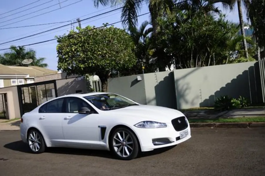O fantástico mundo de Jaguar