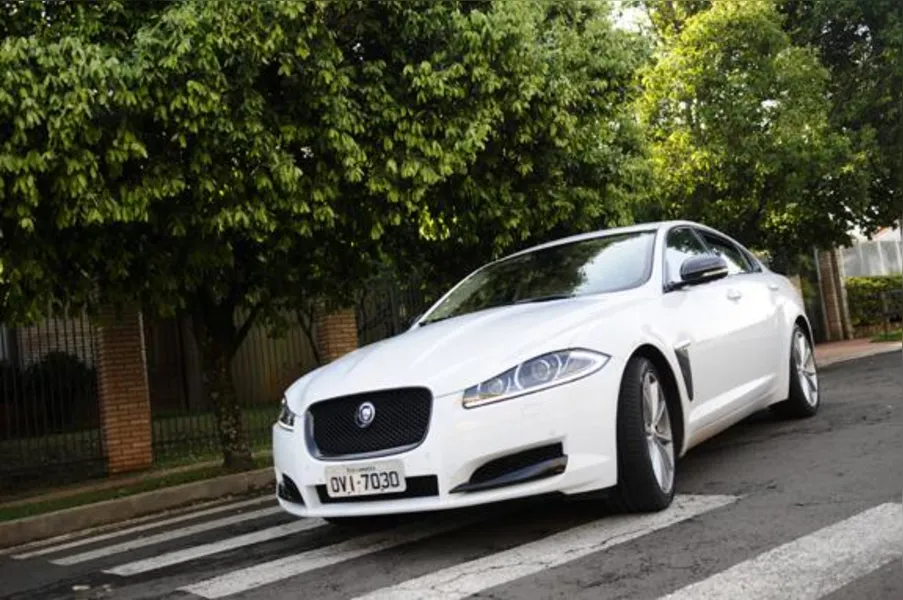 O fantástico mundo de Jaguar