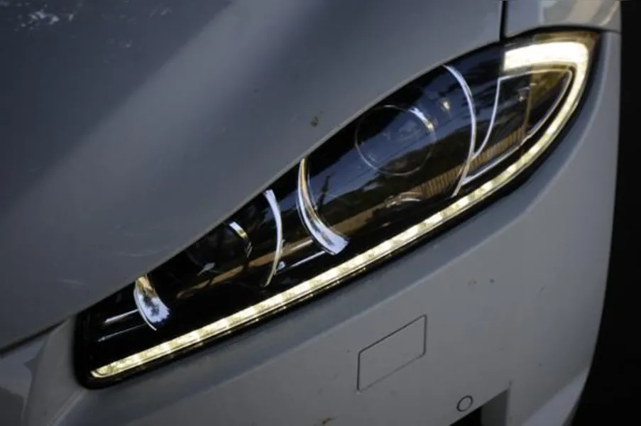 O fantástico mundo de Jaguar