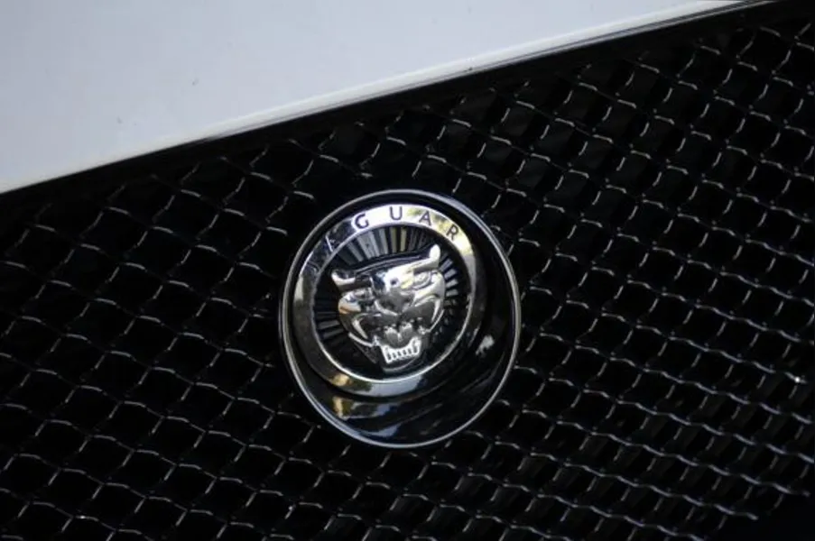 O fantástico mundo de Jaguar