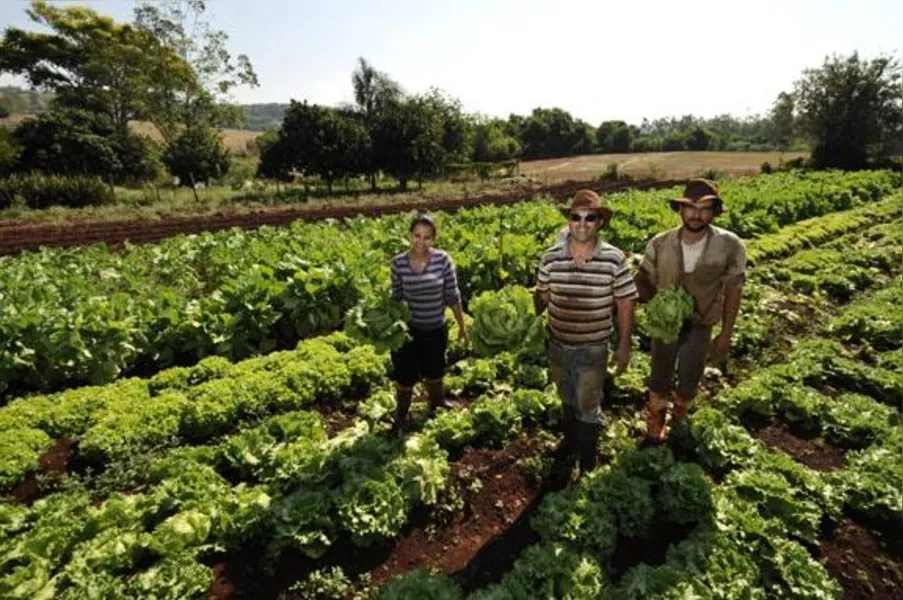 Agricultores familiares têm novos desafios