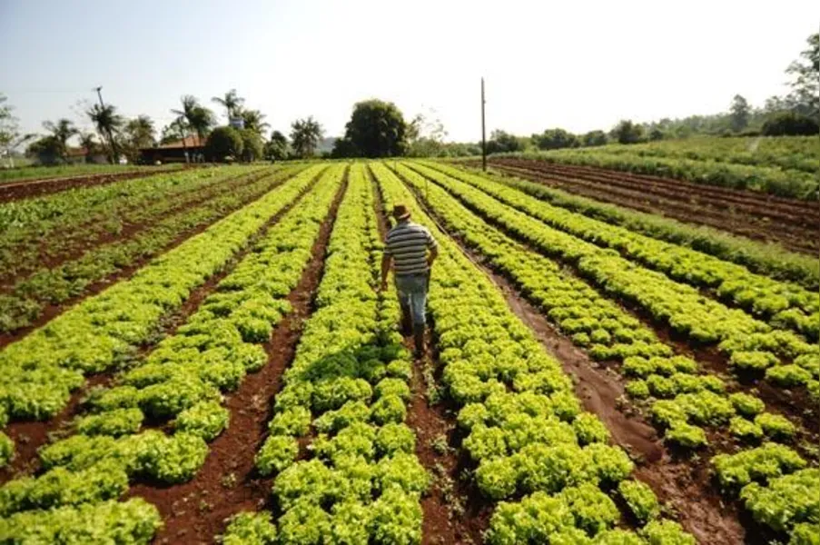 Agricultores familiares têm novos desafios