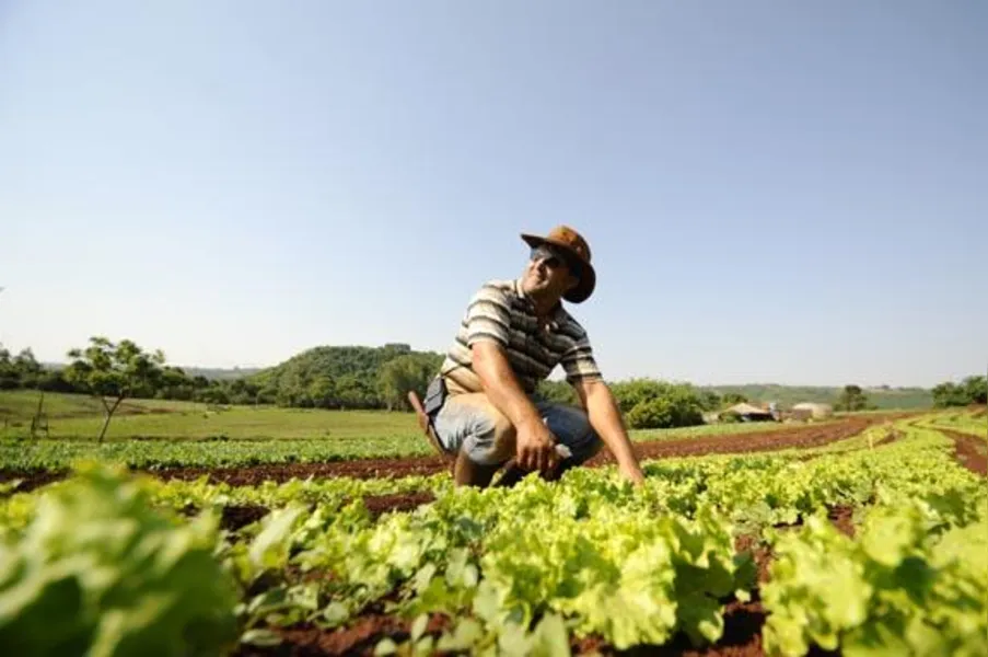 Agricultores familiares têm novos desafios