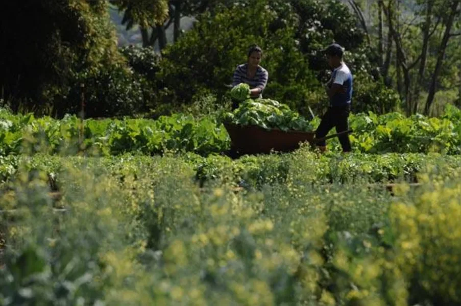 Agricultores familiares têm novos desafios