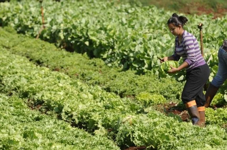 Agricultores familiares têm novos desafios
