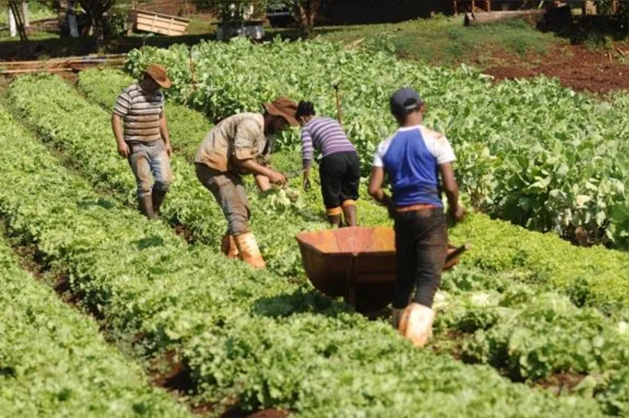 Agricultores familiares têm novos desafios