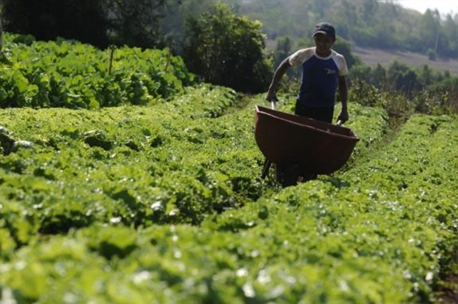 Agricultores familiares têm novos desafios
