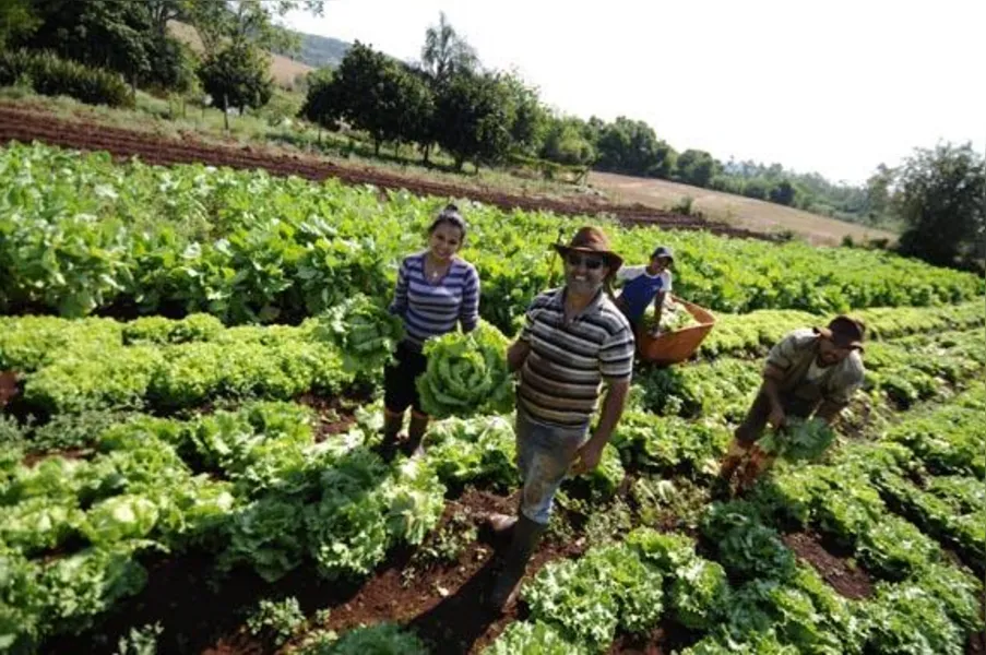 Agricultores familiares têm novos desafios