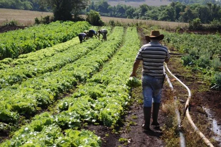 Agricultores familiares têm novos desafios
