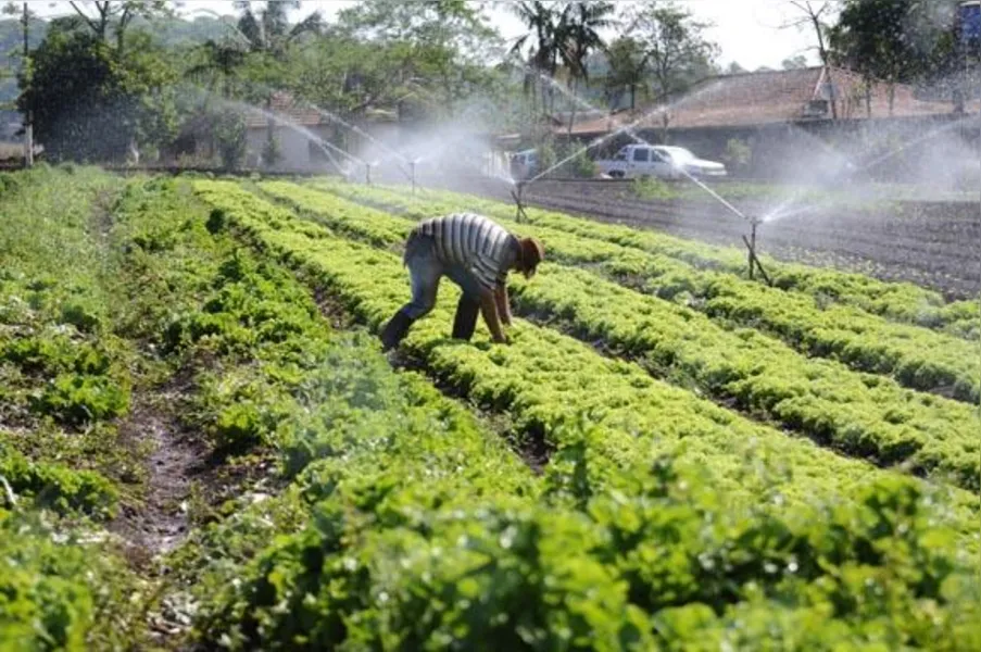 Agricultores familiares têm novos desafios
