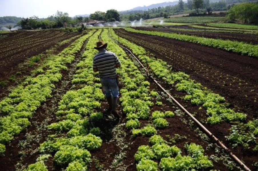 Agricultores familiares têm novos desafios