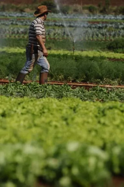 Agricultores familiares têm novos desafios