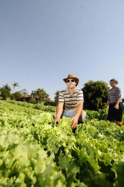 Agricultores familiares têm novos desafios