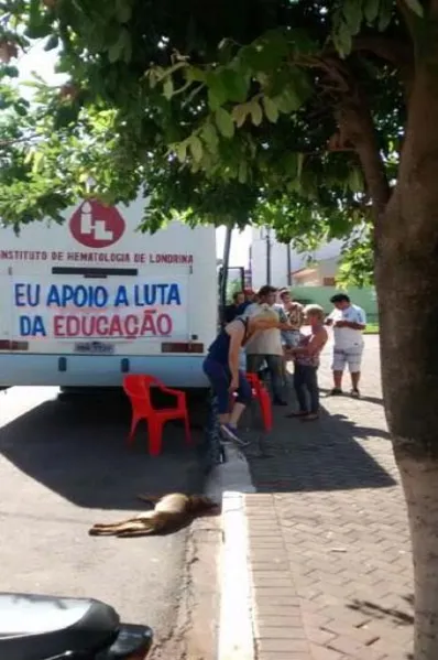 Profissionais da rede estadual realizam 'protesto' solidário