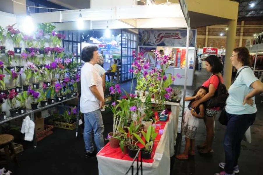 Festa das flores