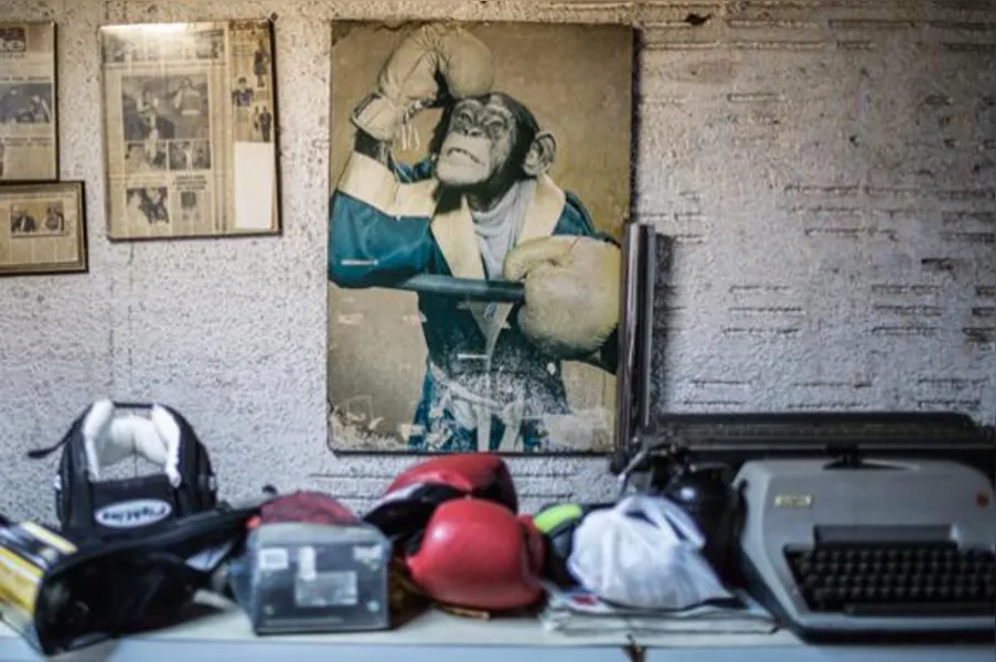 Academia de boxe