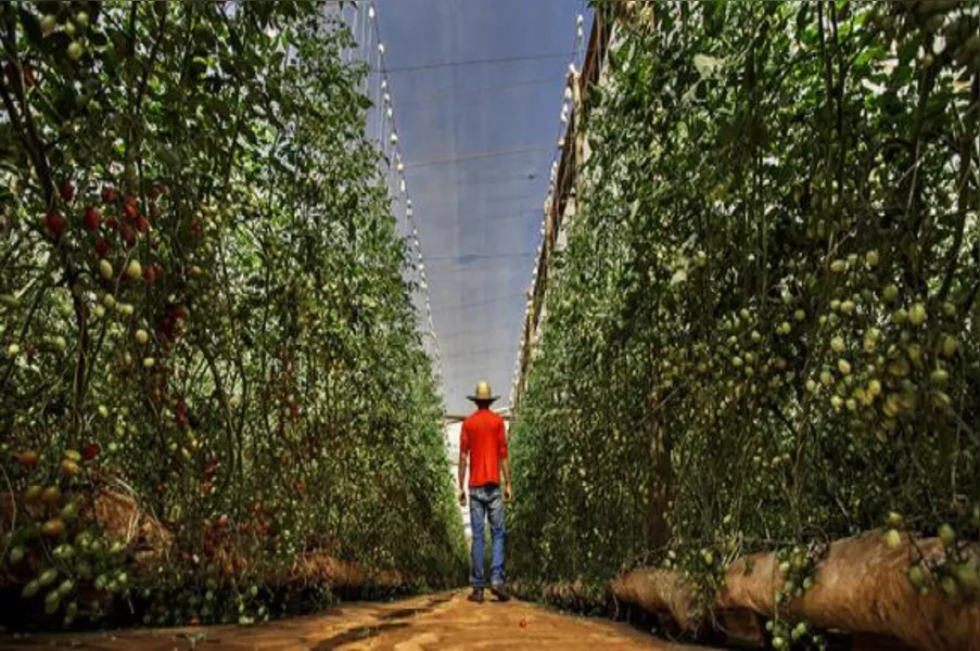 Imagens da Agricultura Paranaense