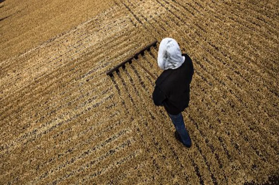 Imagens da Agricultura Paranaense