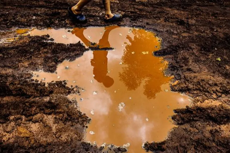 Imagens da Agricultura Paranaense