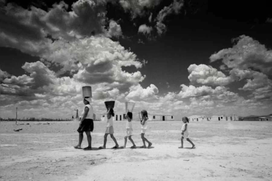 Mestre da fotografia