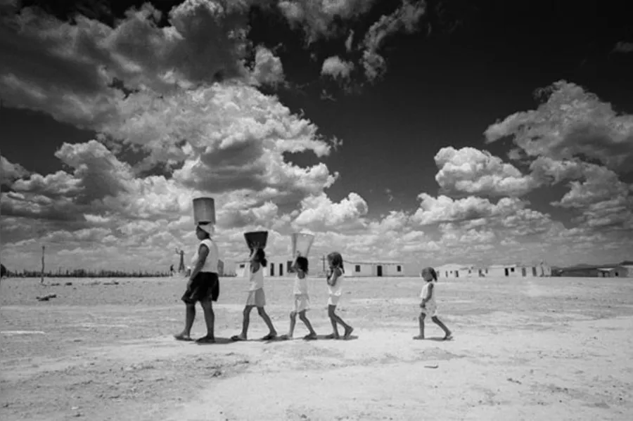 Mestre da fotografia