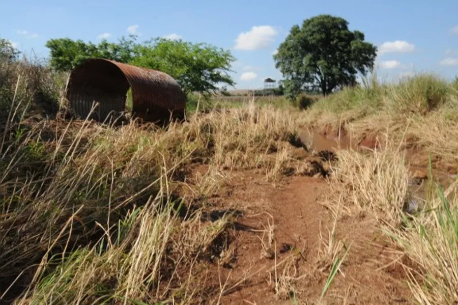 Tempo de solidariedade e reconstrução