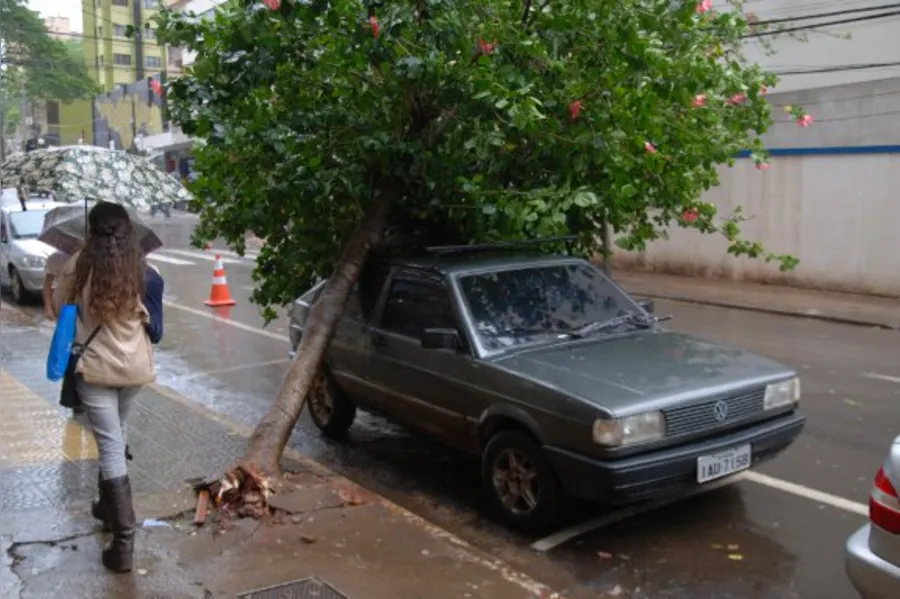 Confira as fotos dos estragos causados pela chuva em Londrina