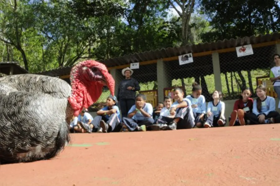 EDUCAÇÃO AMBIENTAL - Um passeio cheio de aventuras