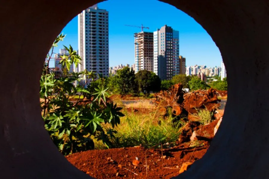 Maratona fotográfica mostra Londrina por outros ângulos, diz autor de imagem vencedora
