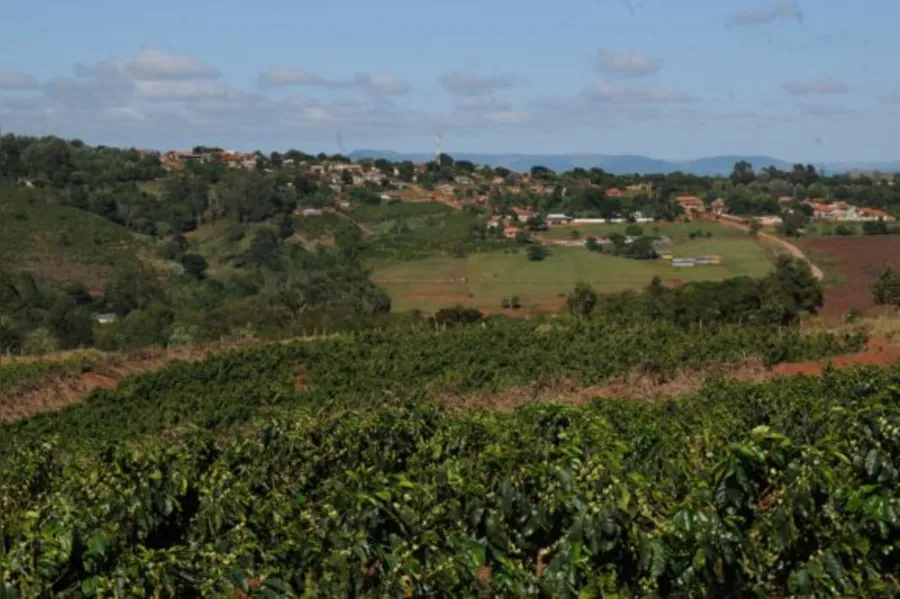 Terra Nova tem café forte e o sonho da emancipação