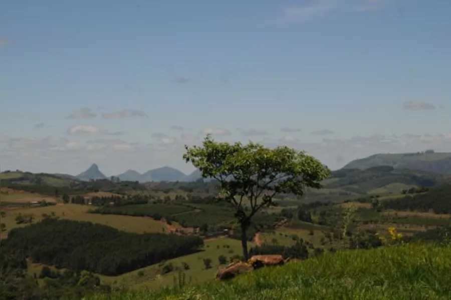 Terra Nova tem café forte e o sonho da emancipação