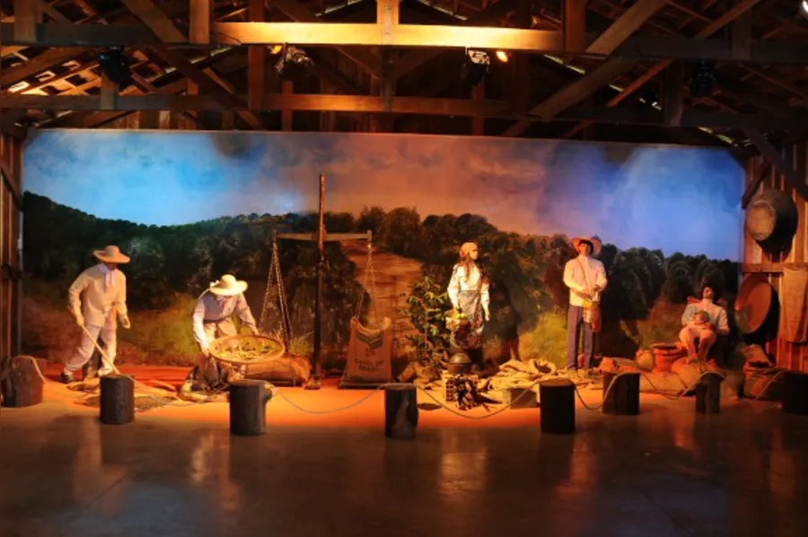 Uma história interativa do Norte do Paraná