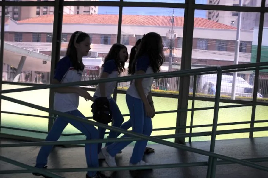 PROJETO EDUCATIVO - Arte contemporânea a favor da natureza