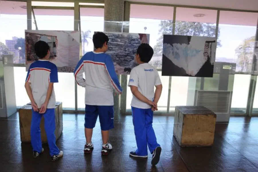 PROJETO EDUCATIVO - Arte contemporânea a favor da natureza