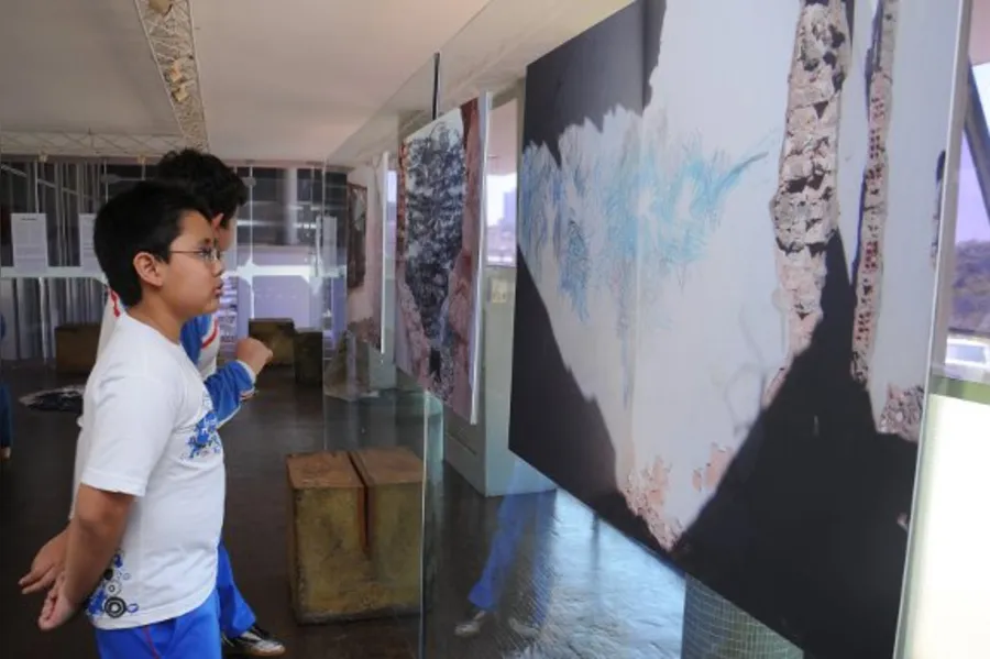 PROJETO EDUCATIVO - Arte contemporânea a favor da natureza