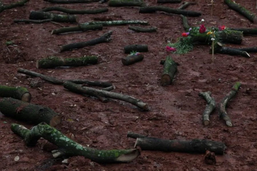 Árvores do Bosque têm 'funeral'