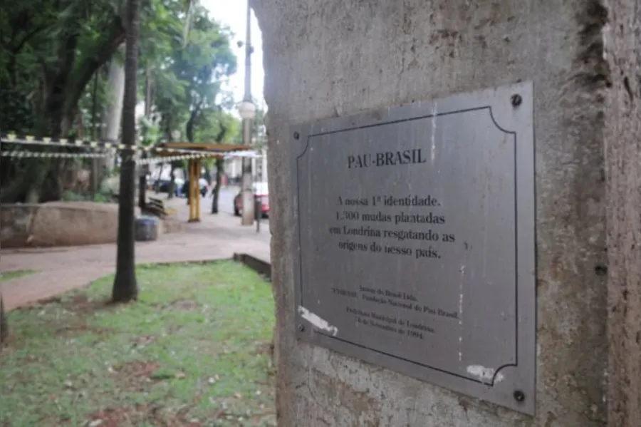 Obra no Bosque só retoma após acordo com MP