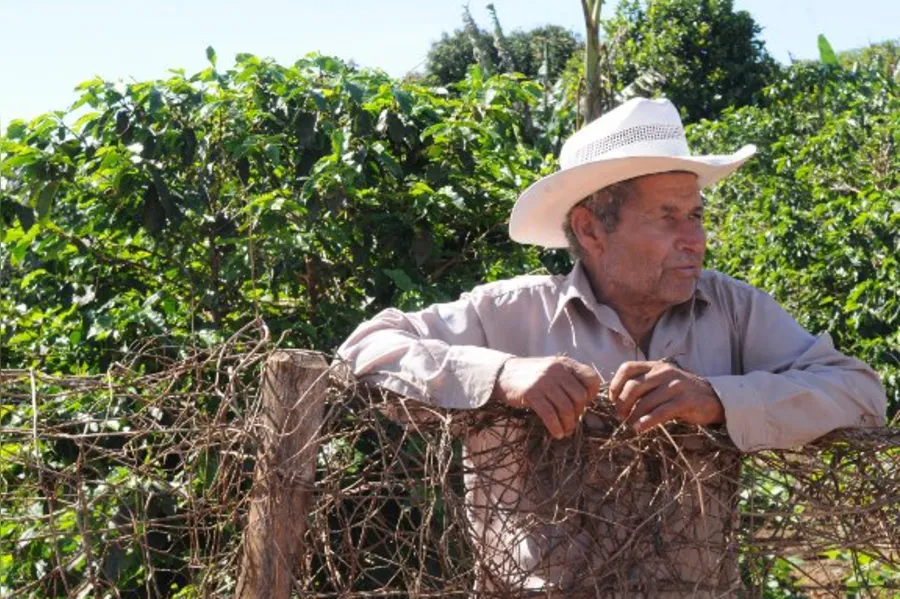 Café tipo mineiro nas alturas de Terra Nova
