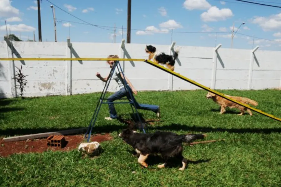 Com quem deixar o bicho de estimação?