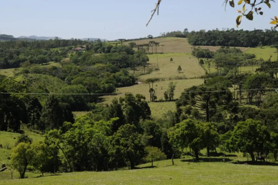 Vida Nova, ''a capital'' dos minérios intocados