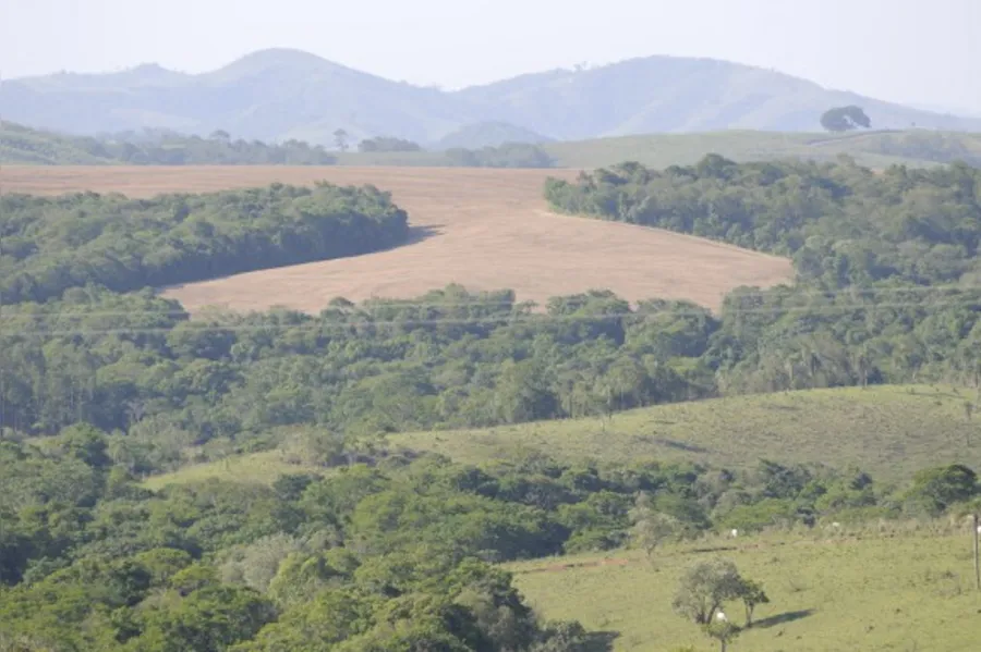 Vida Nova, ''a capital'' dos minérios intocados