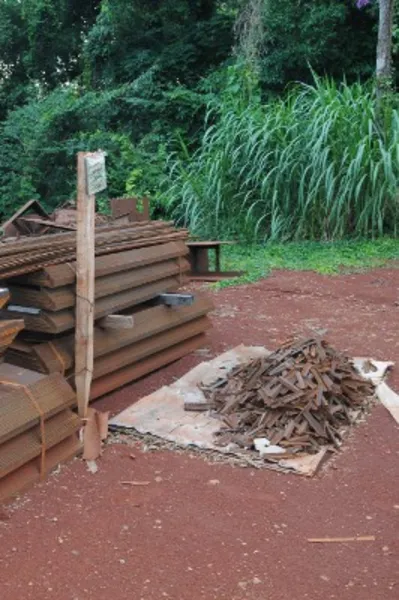 Jardim Botânico completa um ano de fechamento