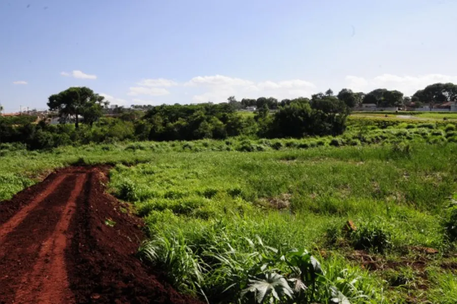Revitalização de fundo de vale é retomada