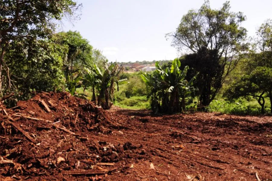 Revitalização de fundo de vale é retomada