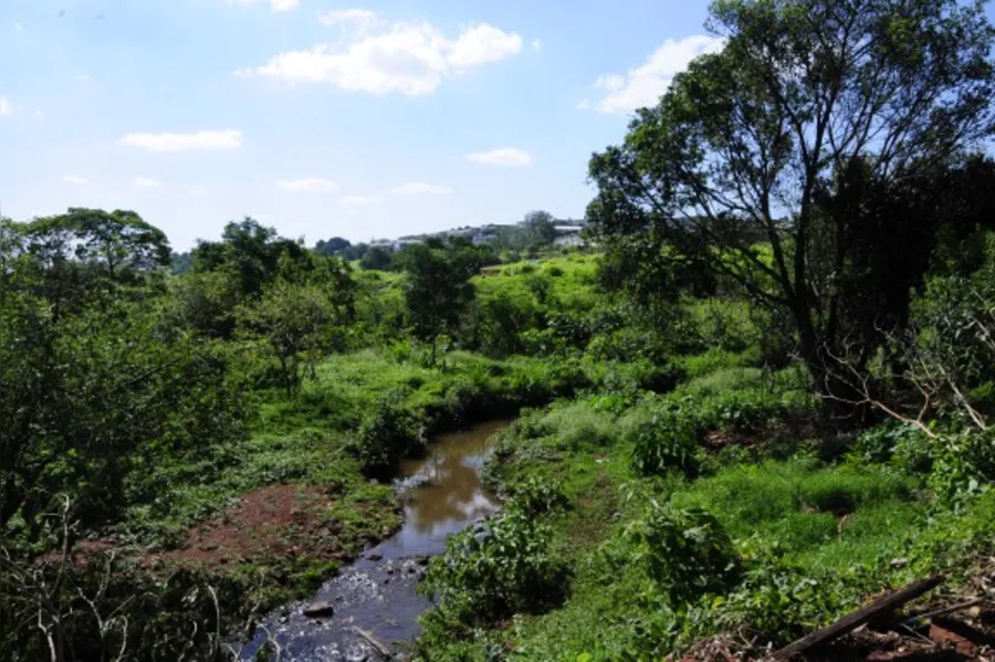 Revitalização de fundo de vale é retomada