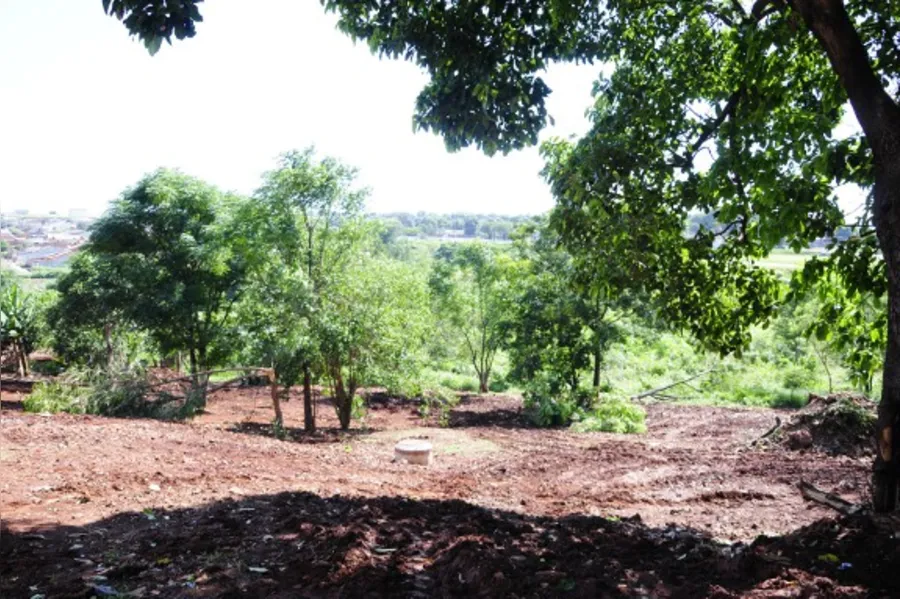 Revitalização de fundo de vale é retomada